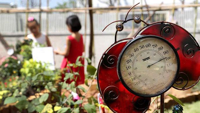 同济附属实验一师附小南西幼儿园,中小幼名校