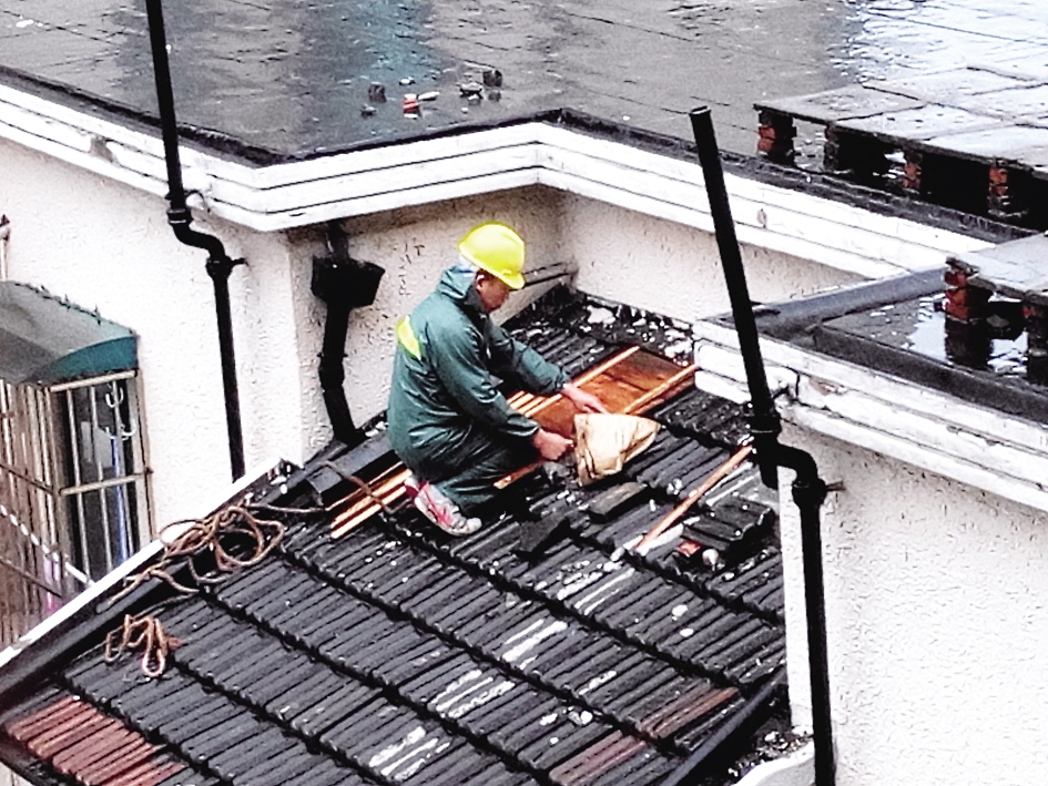 防御灿鸿 静安与台风争夺先机 -图片新闻-新闻