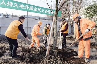 义务植树 本报记者 肖鸣亮 摄 