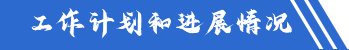 工作计划和进展情况