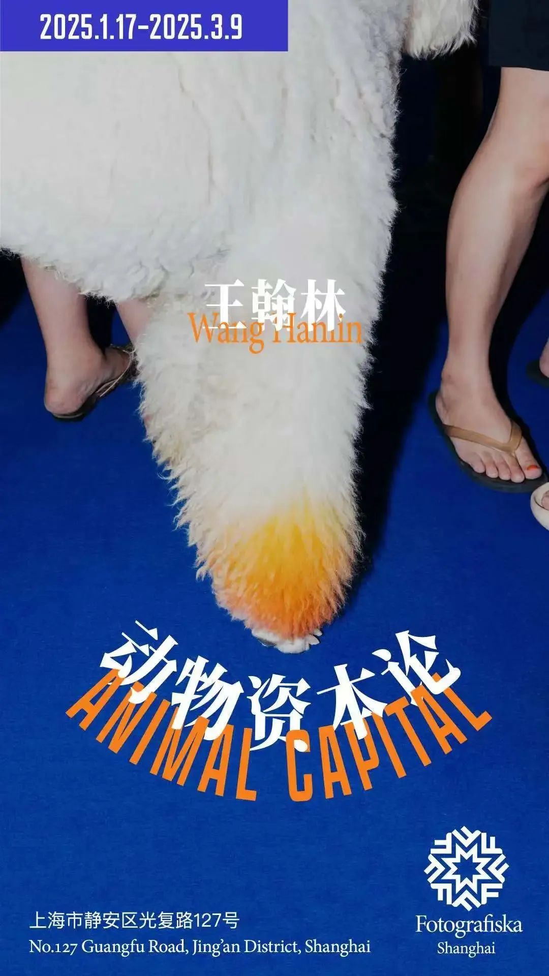 巳巳如意 静享嘉年 | 静安这里“年味”拉满，新春活动火爆进行中→