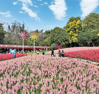 旅游过年释放消费新动能 旅游过年释放消费新动能