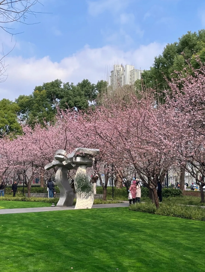 微信截图_20250312144219.png