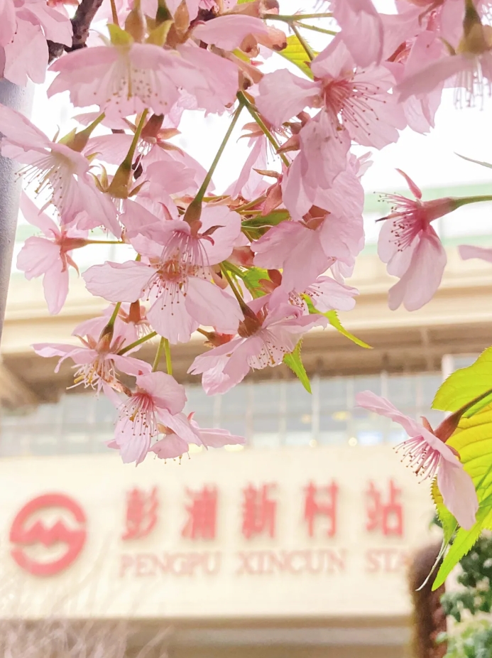 微信截图_20250312144143.png