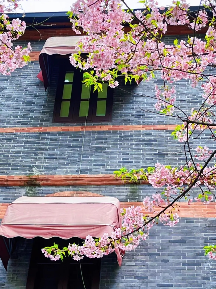 微信截图_20250312144105.png