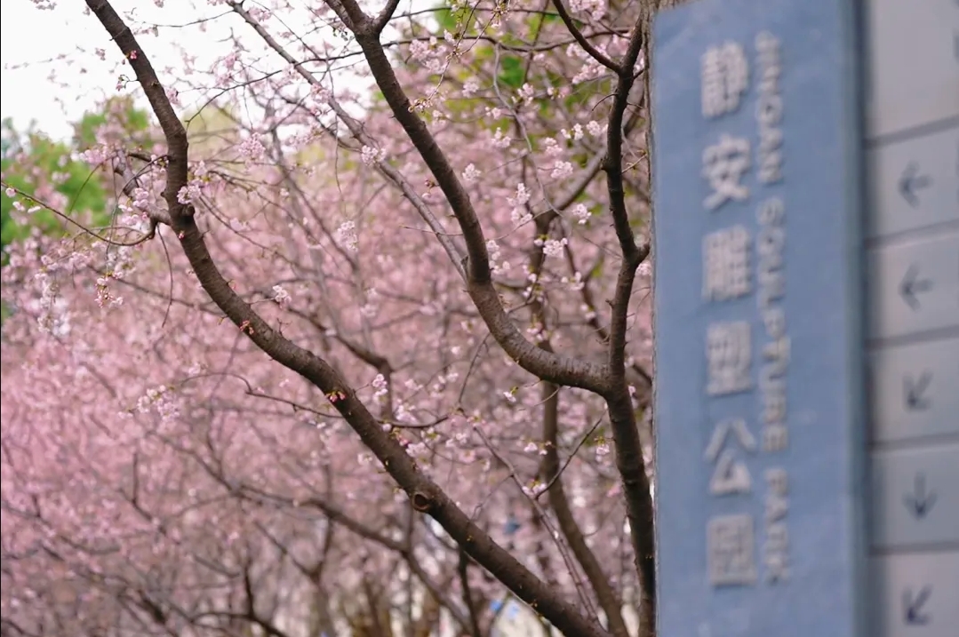 微信截图_20250312143901.png