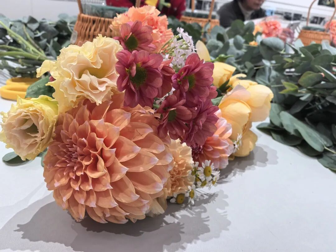 图片7.png 图片7.png