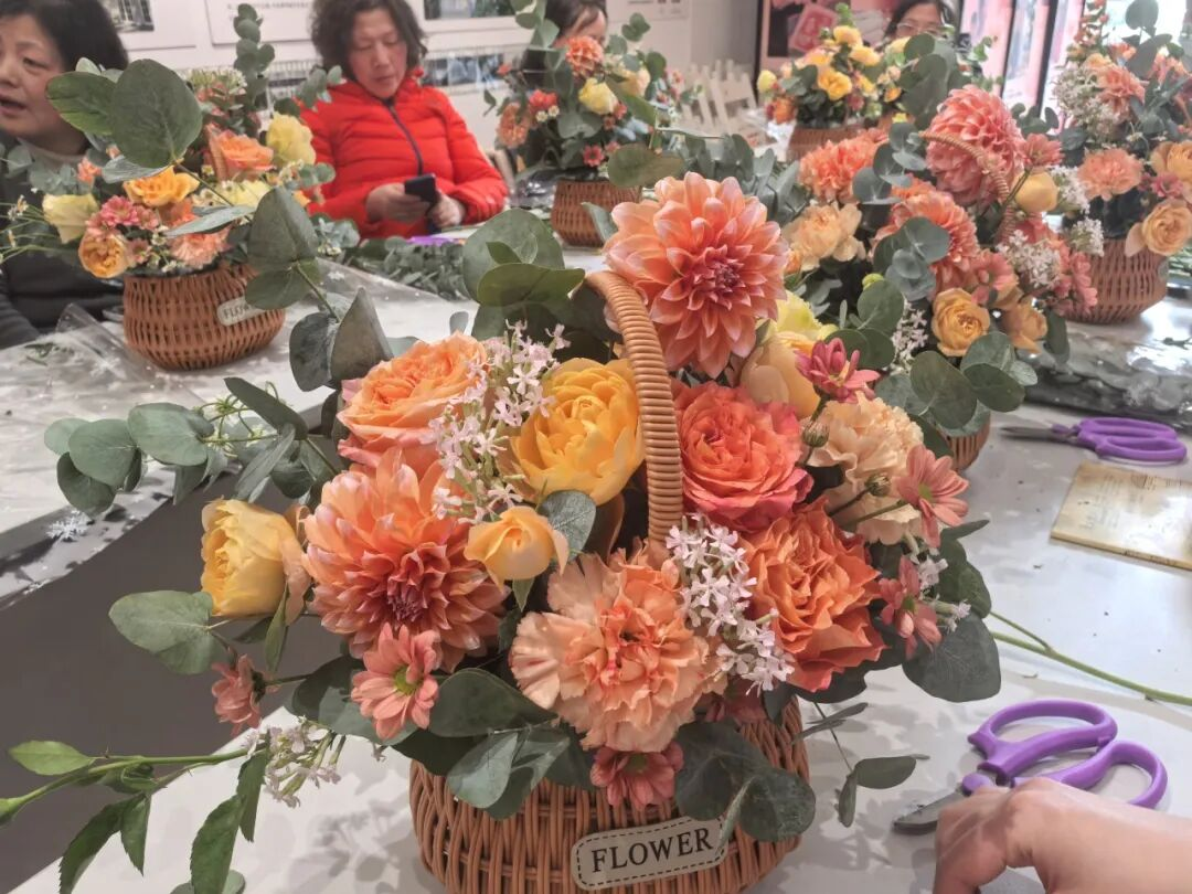 图片8.png 图片8.png