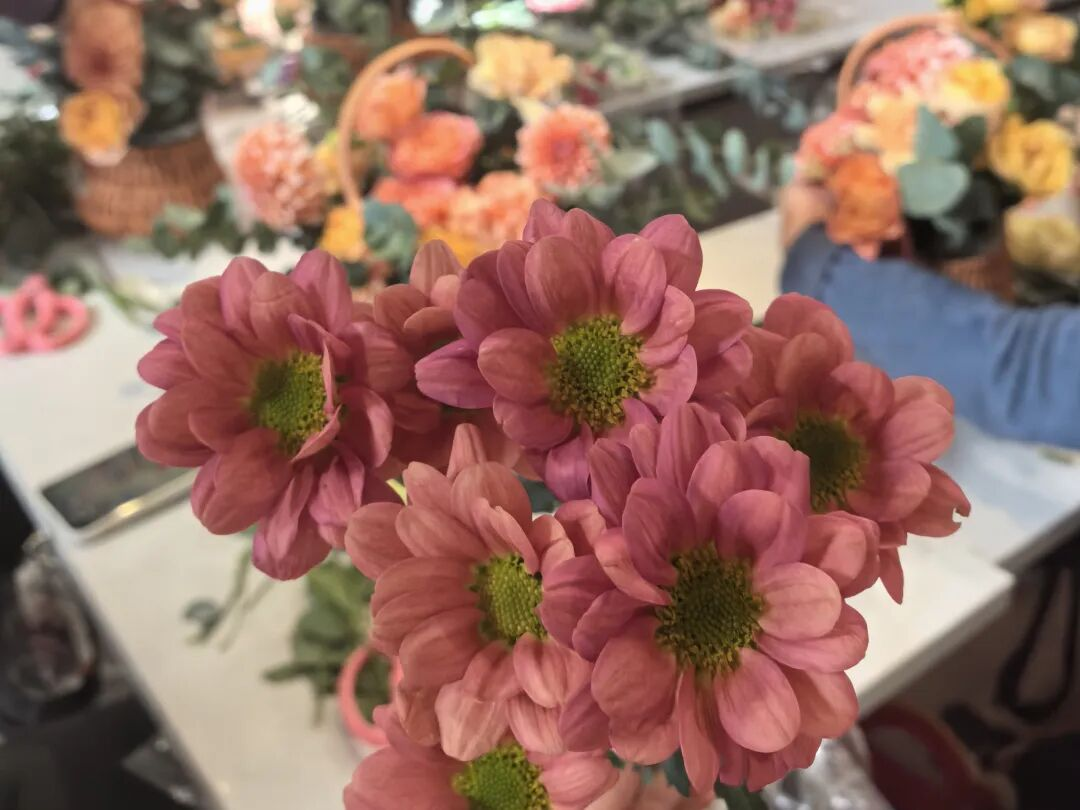 图片9.png 图片9.png