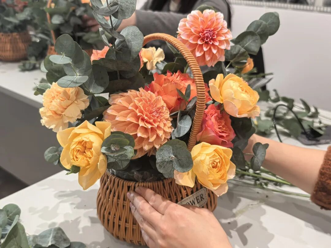 图片4.png 图片4.png