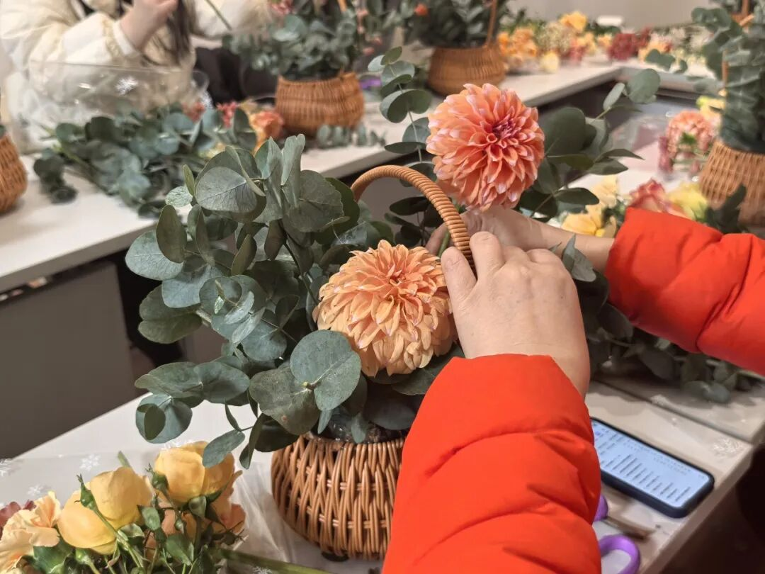 图片1.png 图片1.png