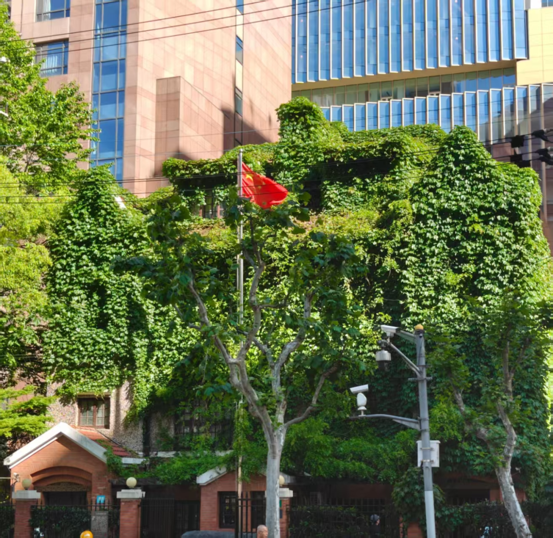 图片20.png 图片20.png