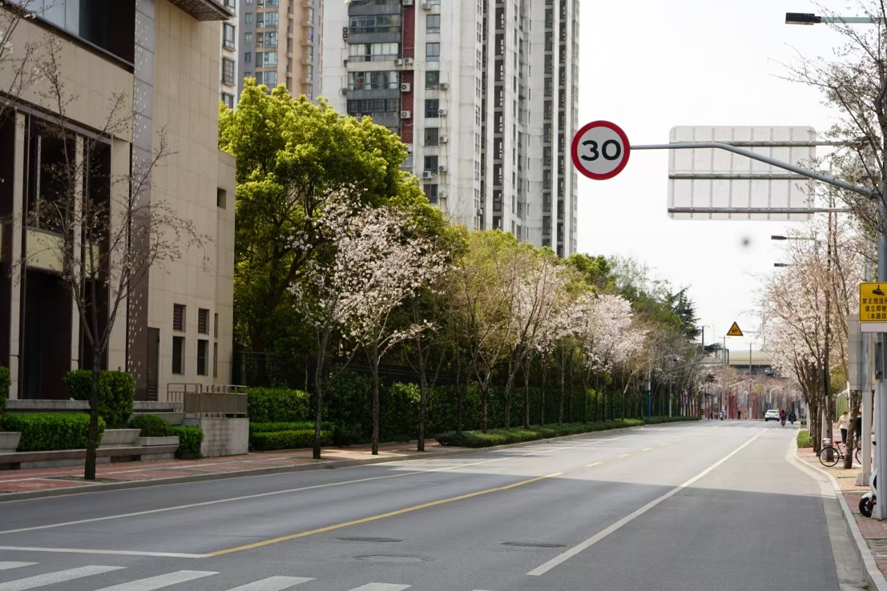 静安新增一条市级绿化特色道路，期待春暖花开时的绚丽烂漫