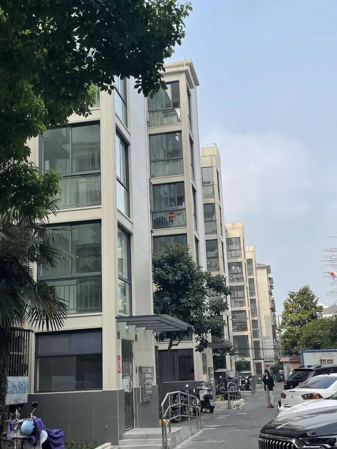 区房管局李卿:静绘民生卷,安居谱新篇丨2024静安区部委办局负责人系列访谈