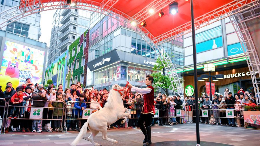 l_cb20260225135205877070.jpg l_cb20260225135205877070.jpg