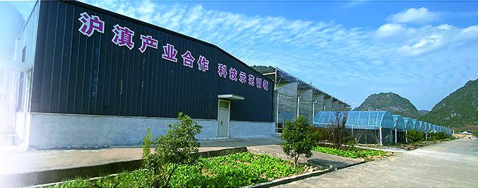 10-111215_p63.jpg