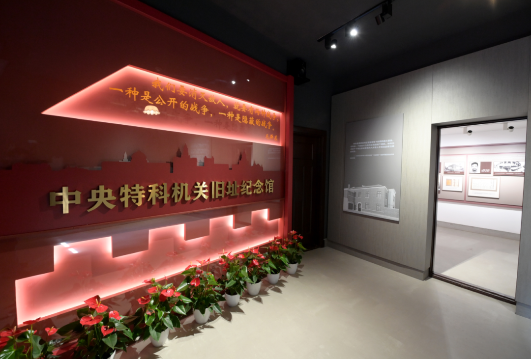 展览一“约”难求，出品戏剧全国巡演，漫画、City Walk轮番“上阵”……静安这份“家底”太惊艳！｜最佳实践地