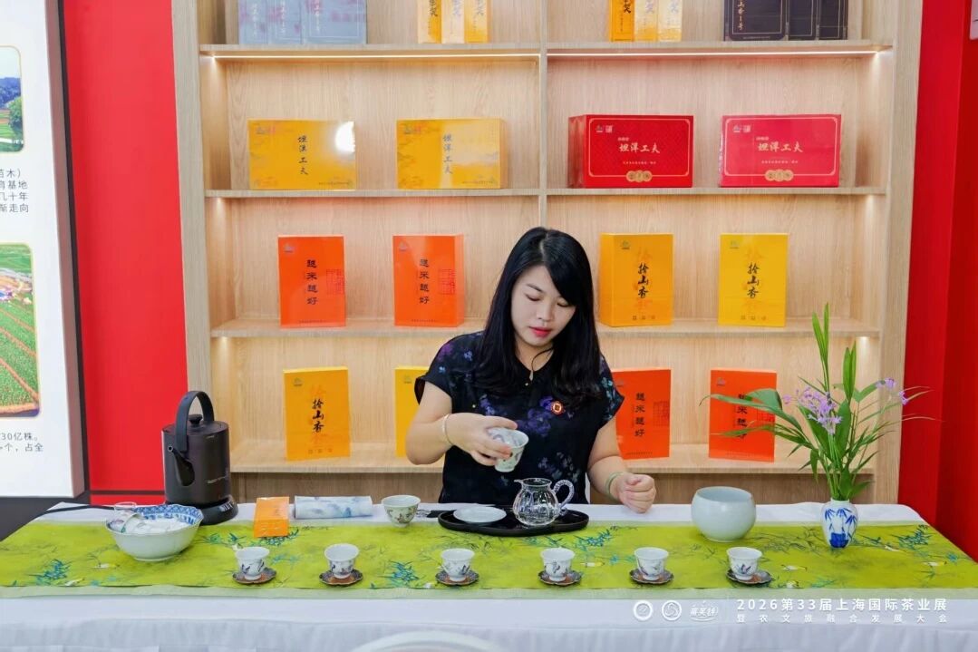 茗香共和新,共赴一场33年的茶之约 茗香共和新,共赴一场33年的茶之约