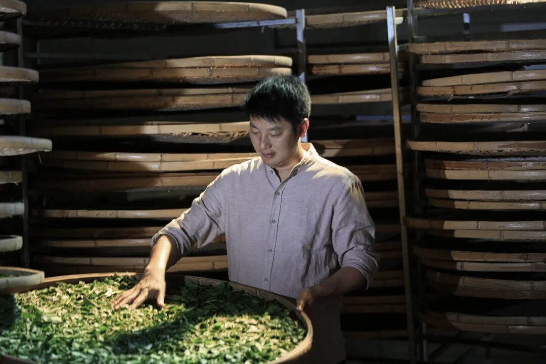 图片12.png