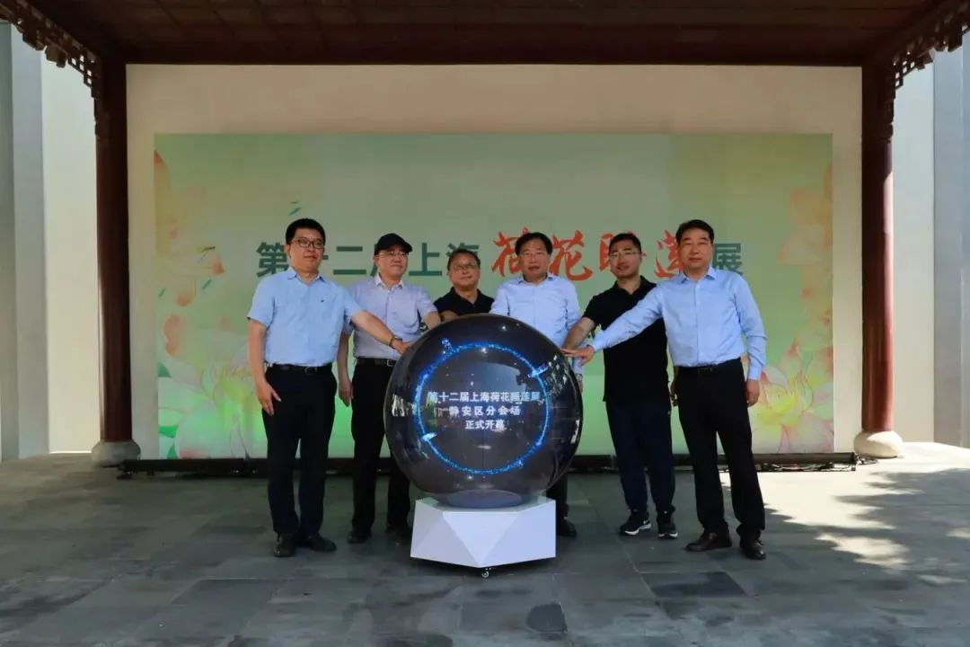 荷莲雅韵绽静安，绿意悠然启新篇——第十二届上海荷花睡莲展静安区分会场开幕式在闸北公园举行