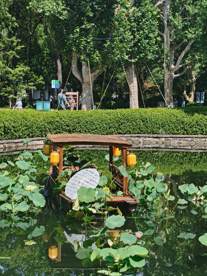 荷莲雅韵绽静安，绿意悠然启新篇——第十二届上海荷花睡莲展静安区分会场开幕式在闸北公园举行
