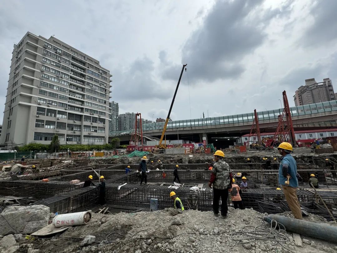 “老房→新家”进行时！上海中心城区旧改样板，这一年怎么样了？