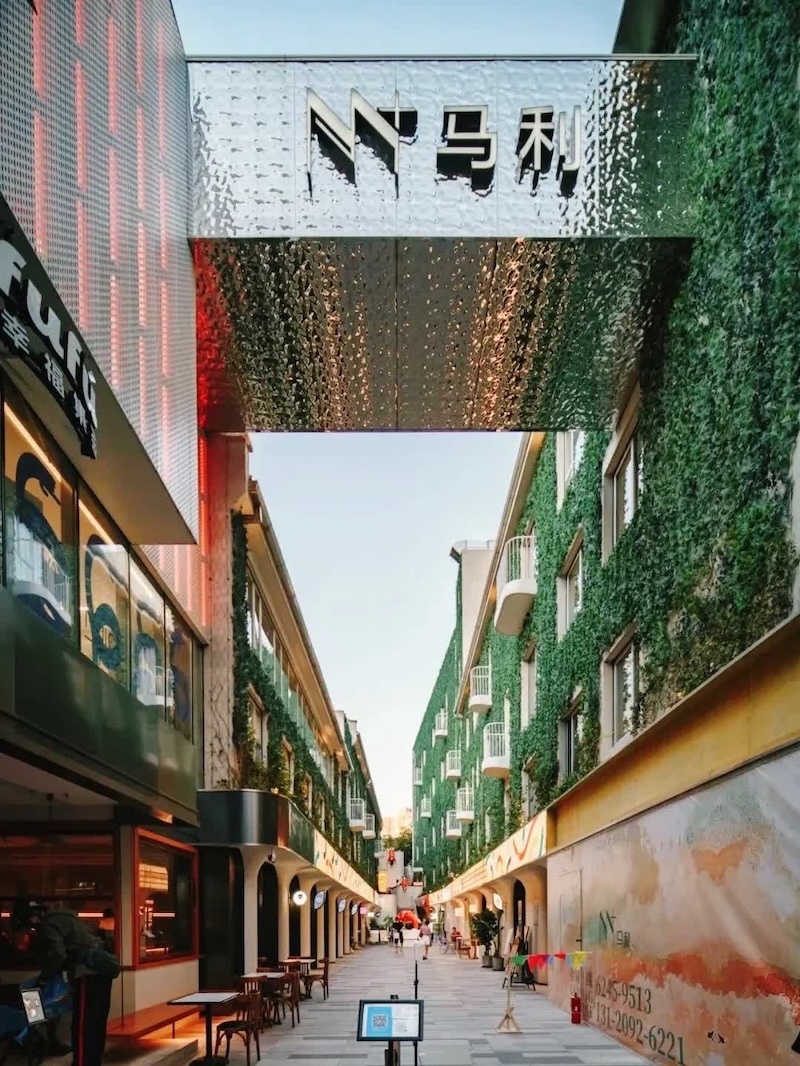 1767012877412_itbSrb_1767012902993.jpg 1767012877412_itbSrb_1767012902993.jpg