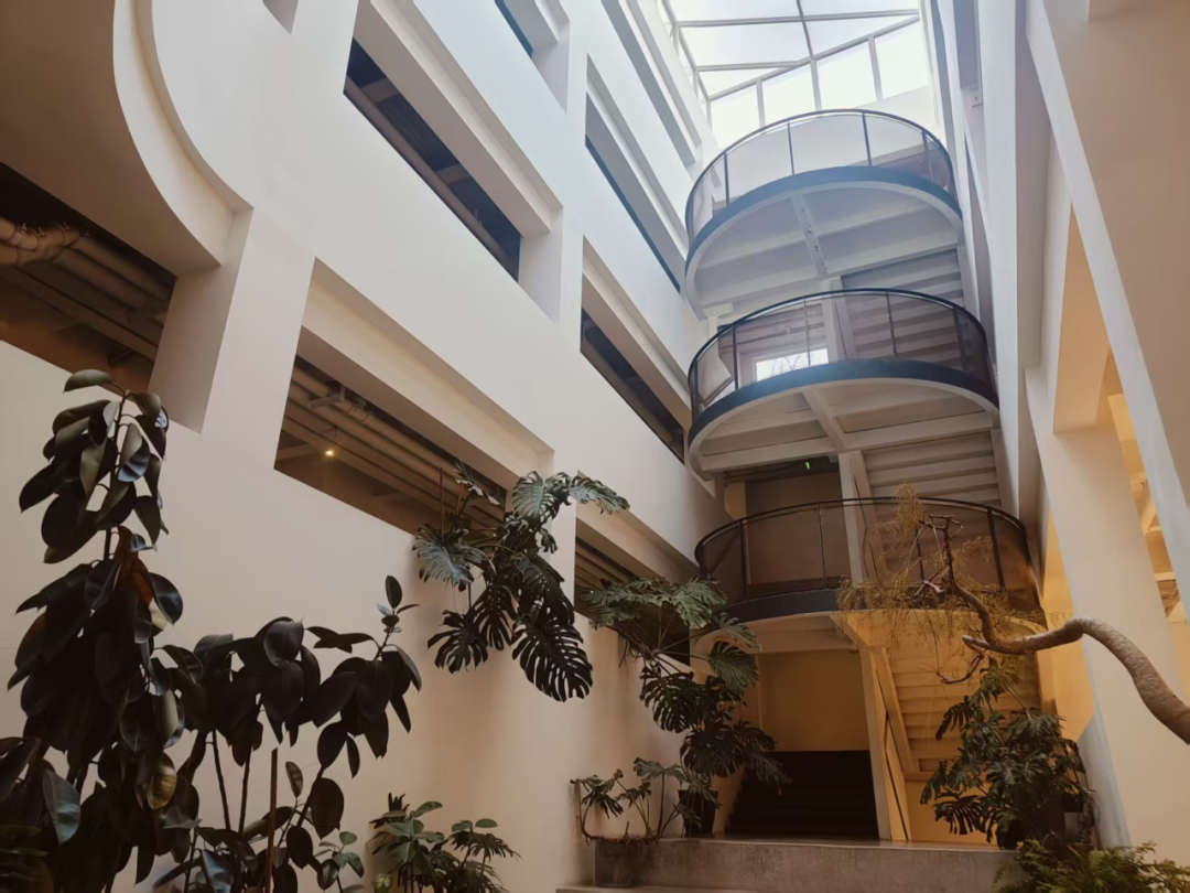 万象更新：静安焕新之旅