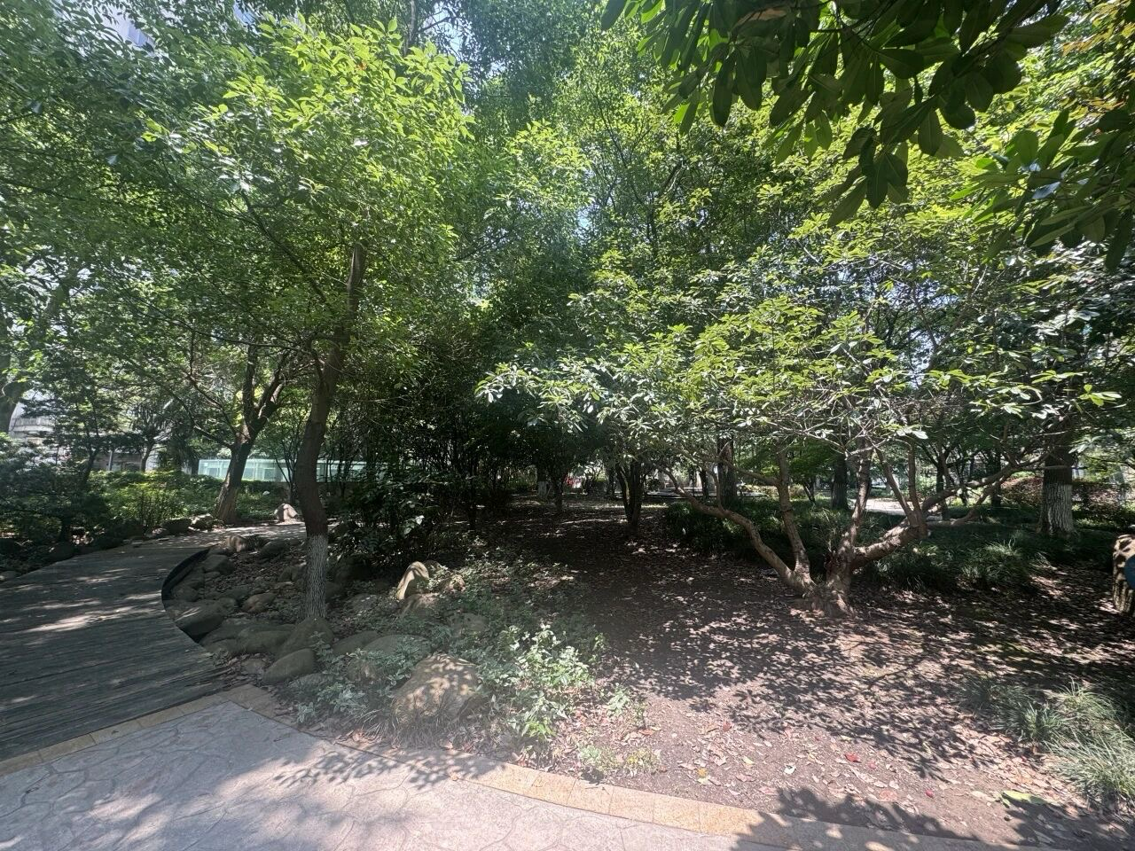 清理成果展示