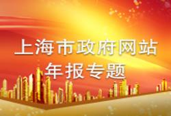 上海市政府网站年报专题 