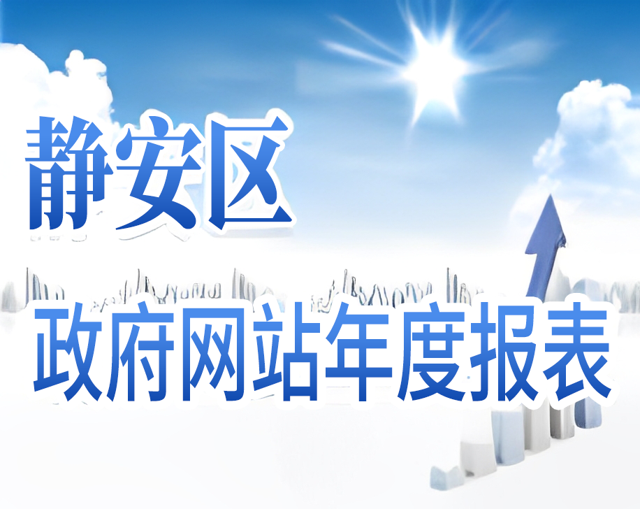 静安区政府网站年度报表
