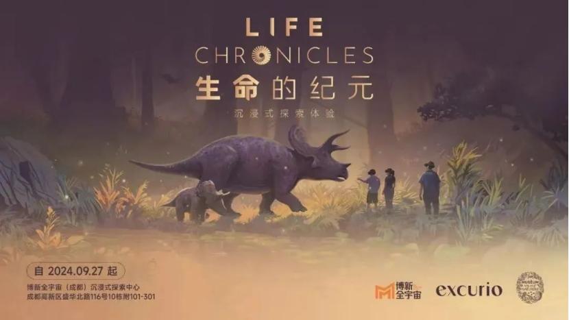 图片10.jpg