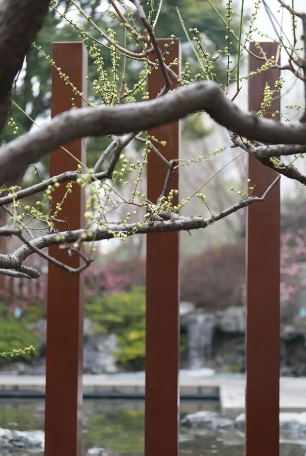 微信截图_20250312145102.png