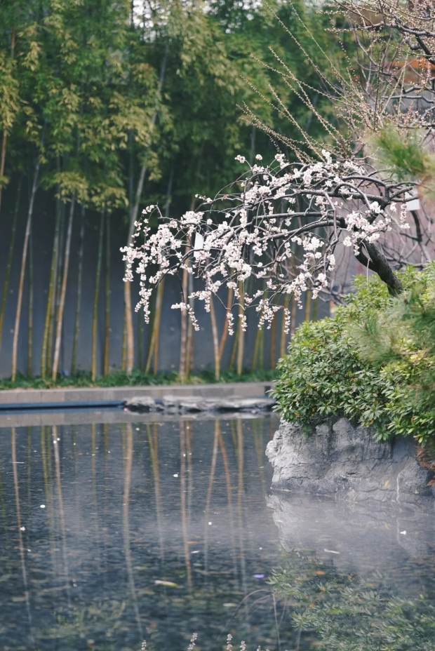 微信截图_20250312144904.png