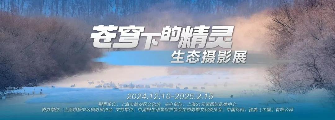 图片24.jpg