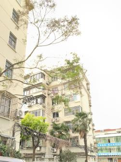 新福事·善治 | 剪树枝、换旧窗！以“微行动”破解小区“大难题”