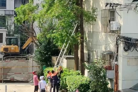 新福事·善治 | 剪树枝、换旧窗！以“微行动”破解小区“大难题”