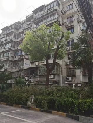 新福事·善治 | 剪树枝、换旧窗！以“微行动”破解小区“大难题”