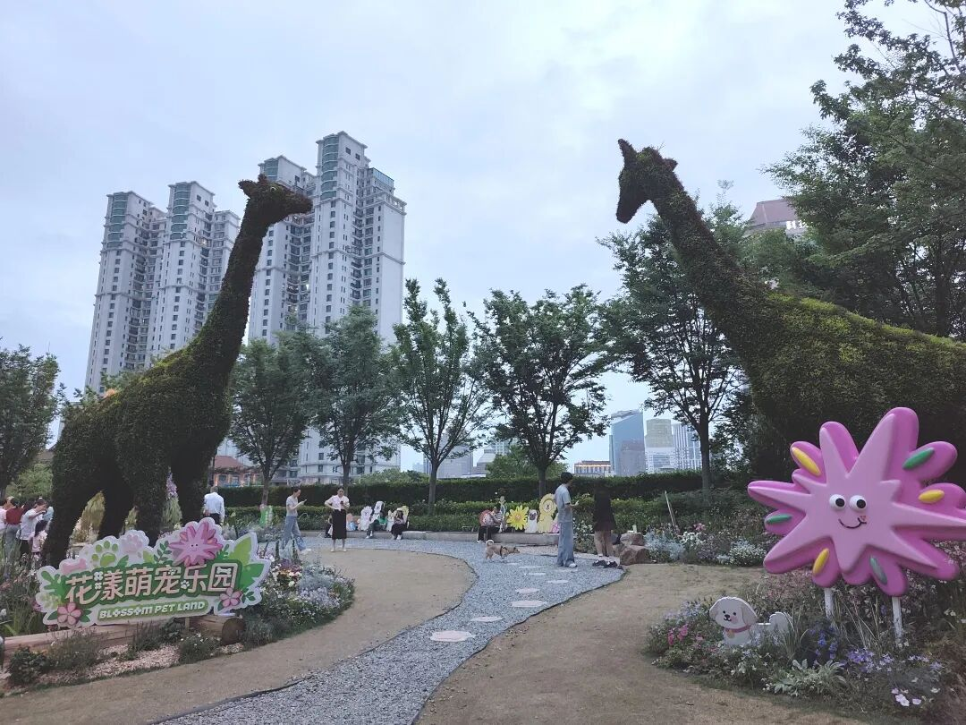 图片11.png 图片11.png