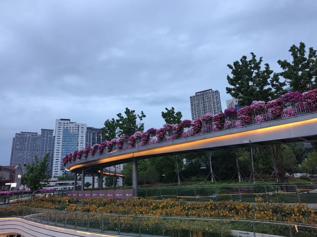 图片17.png 图片17.png