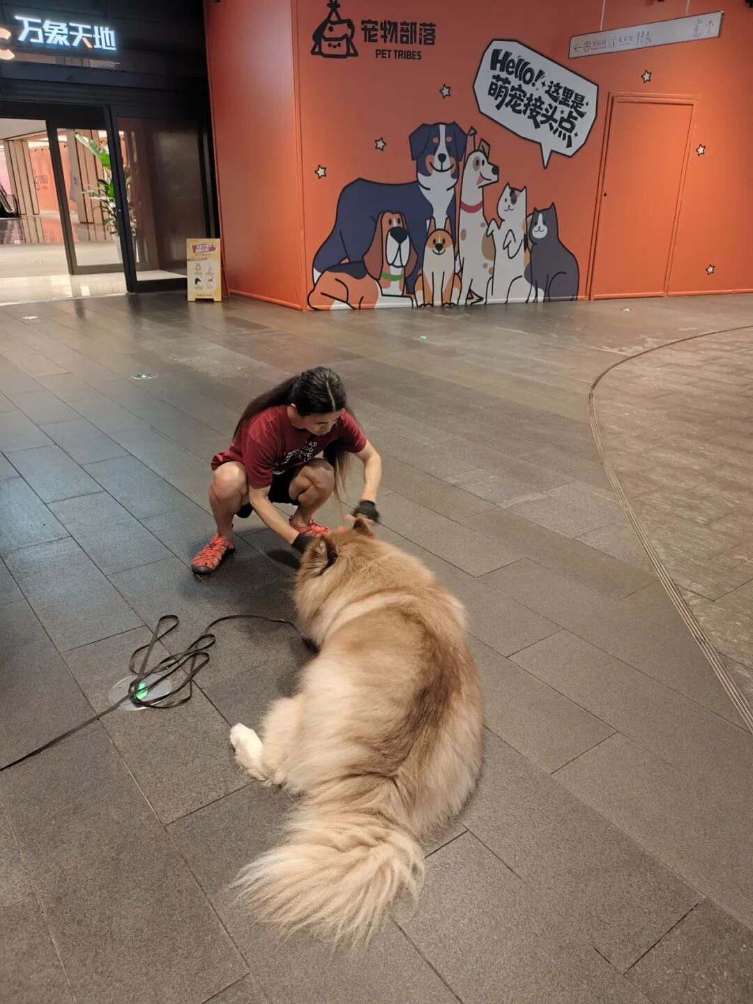 图片21.png 图片21.png