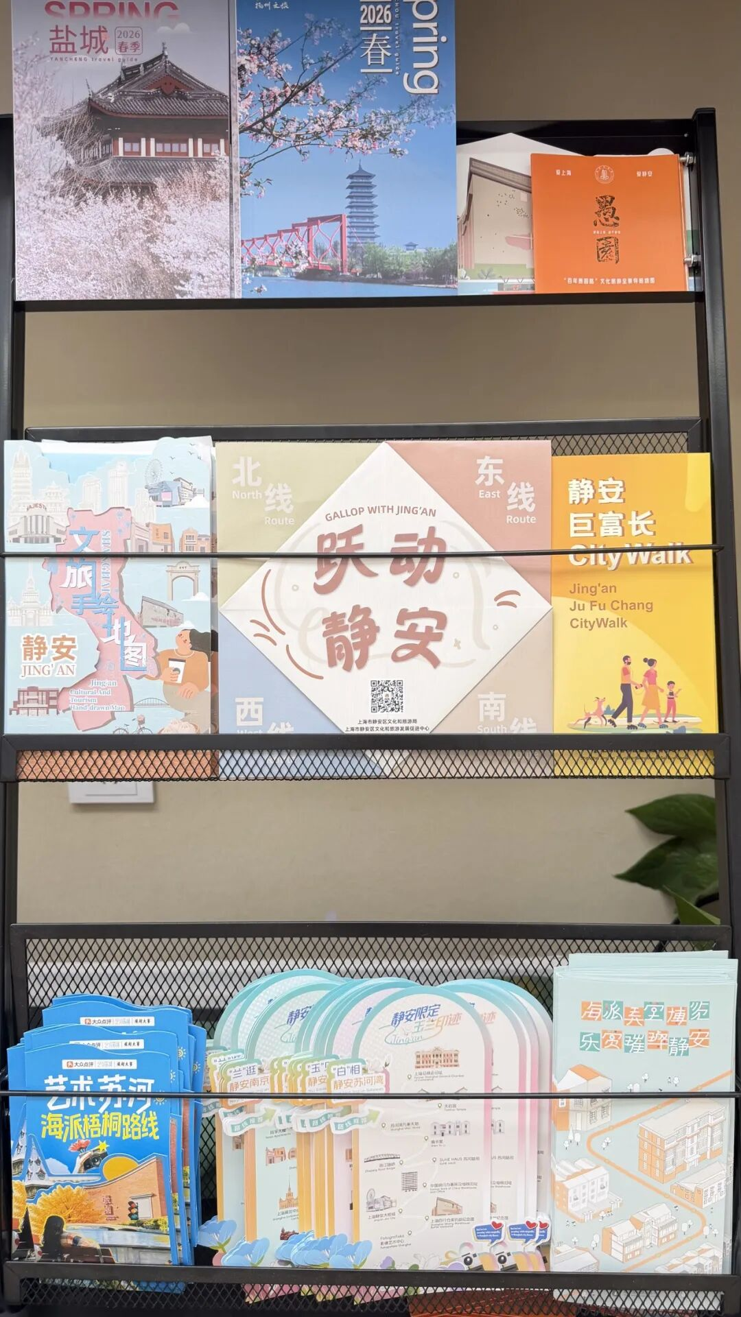 图片9.png 图片9.png