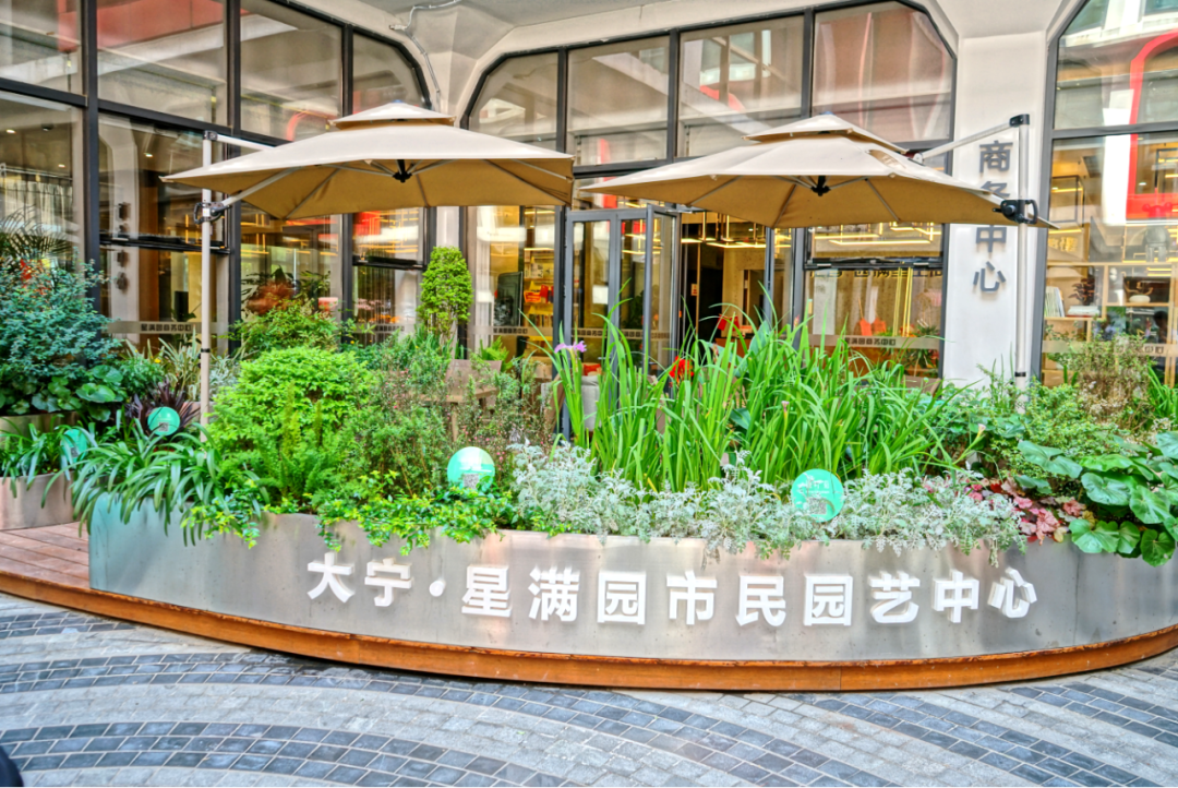 大宁路街道星满园市民园艺中心（林长驿站）获评上海“15分钟社区生活圈”优秀案例