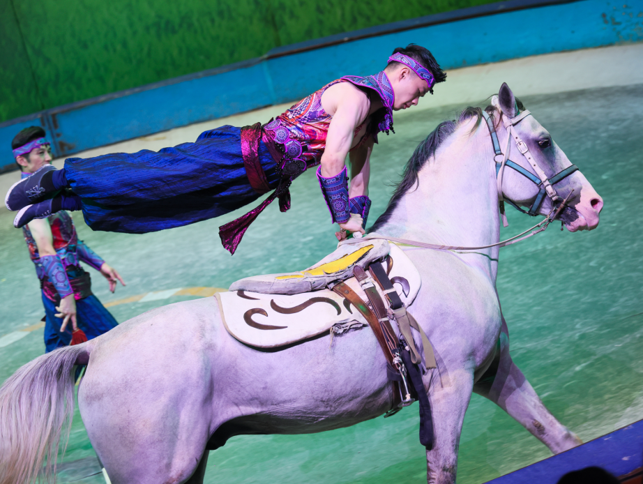 图片17.png 图片17.png