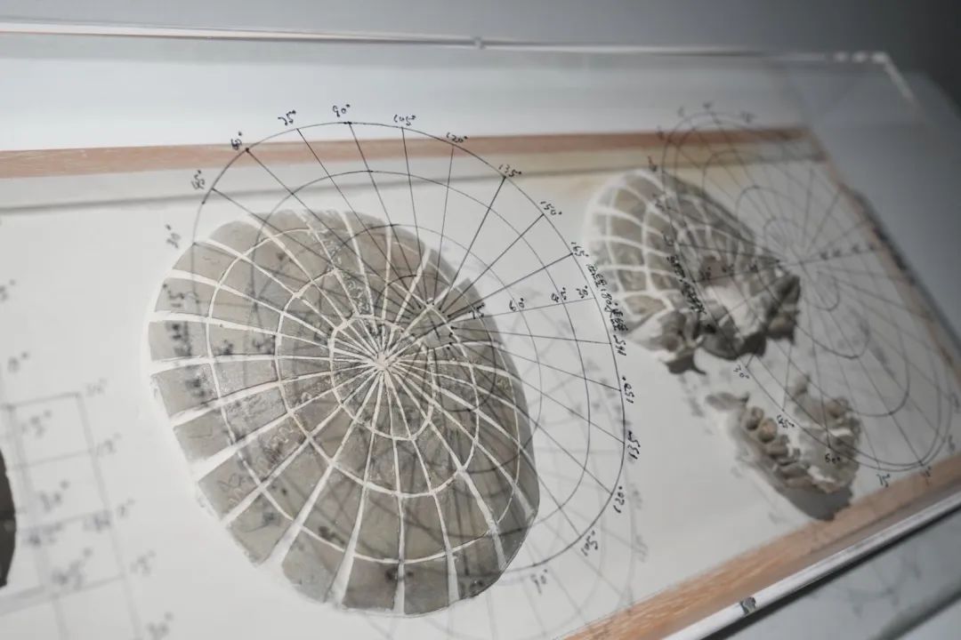 静安雕塑公园又一新展！37件作品，展期1个月→