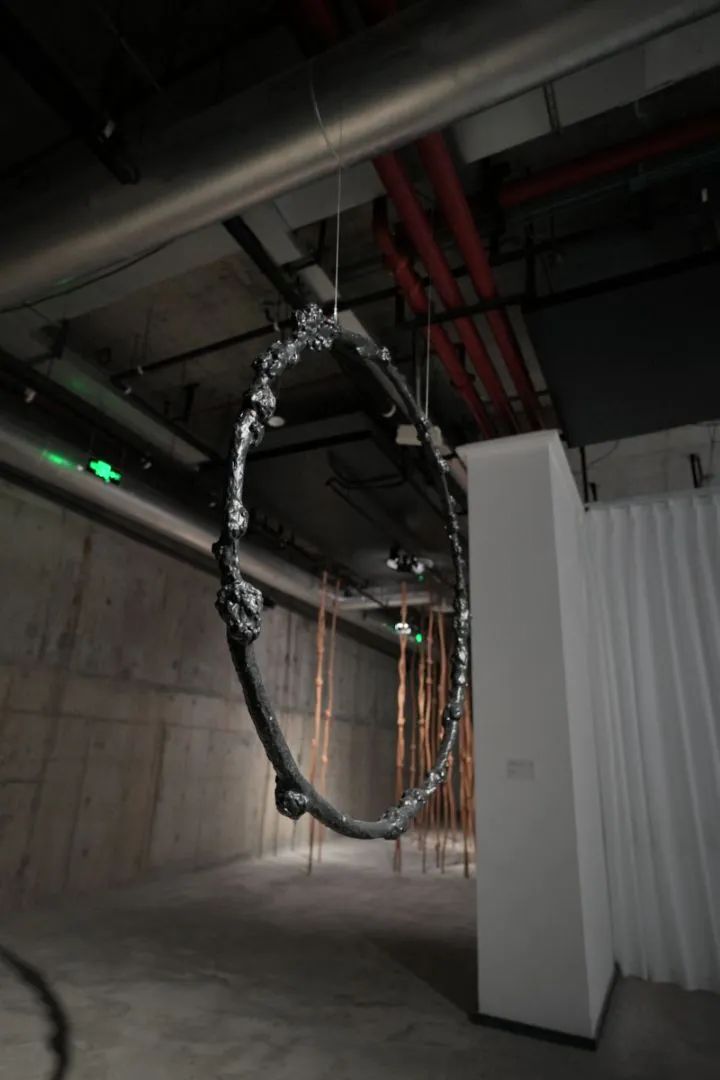 静安雕塑公园又一新展！37件作品，展期1个月→