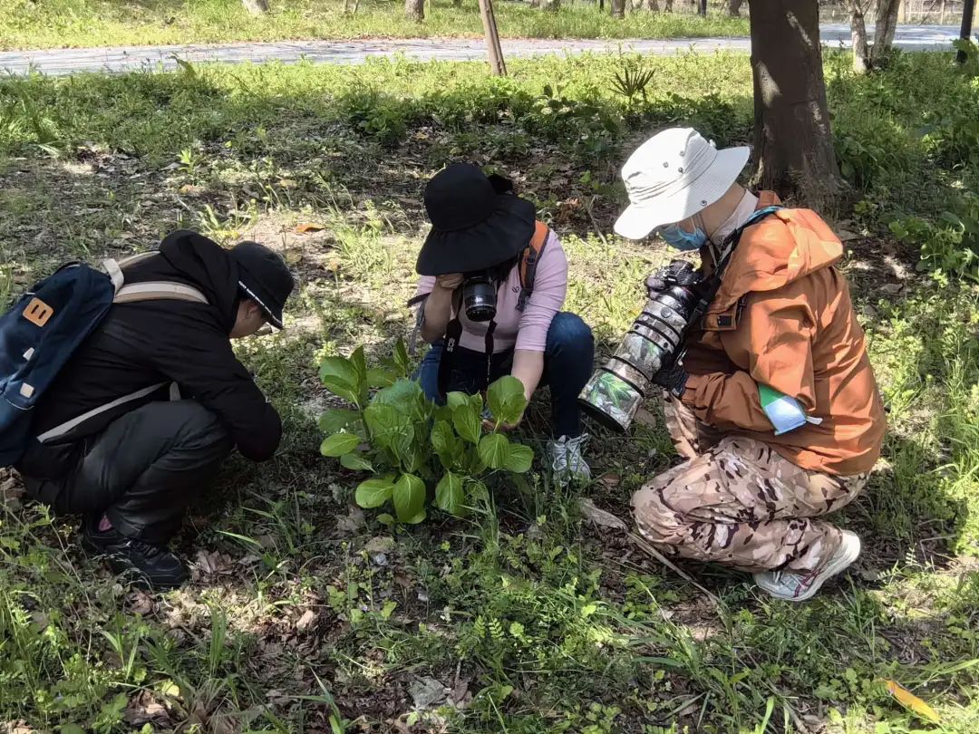 “公众科学”助力生态保护,上海自然博物馆举办2024年度“我的自然百宝箱”项目总结分享会 “公众科学”助力生态保护,上海自然博物馆举办2024年度“我的自然百宝箱”项目总结分享会