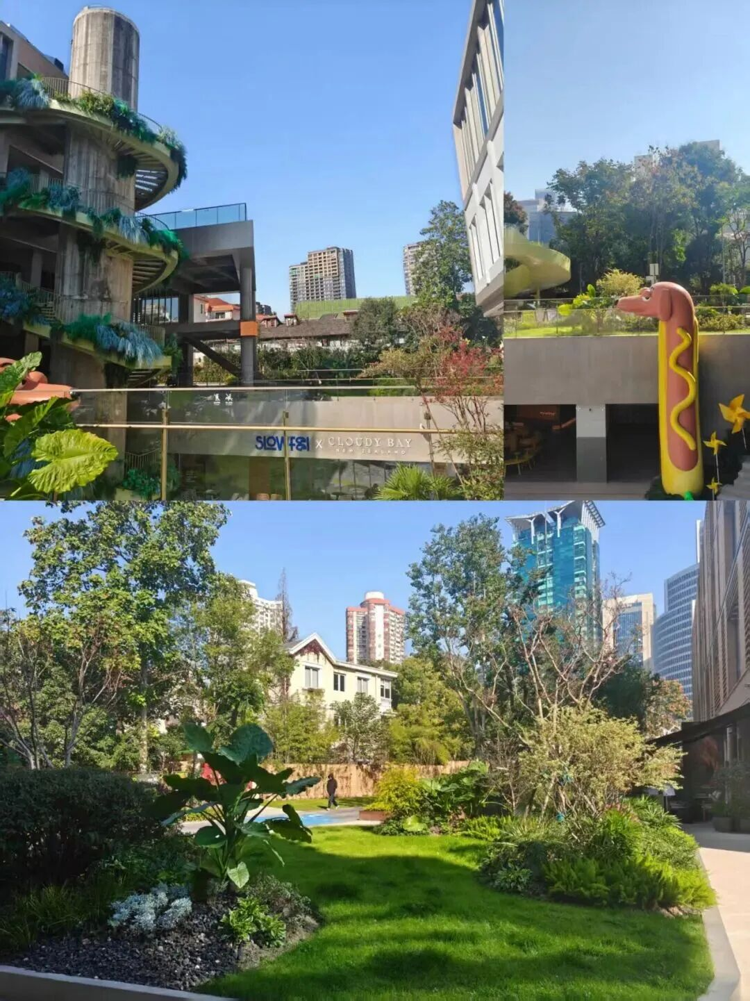 图片11.png 图片11.png