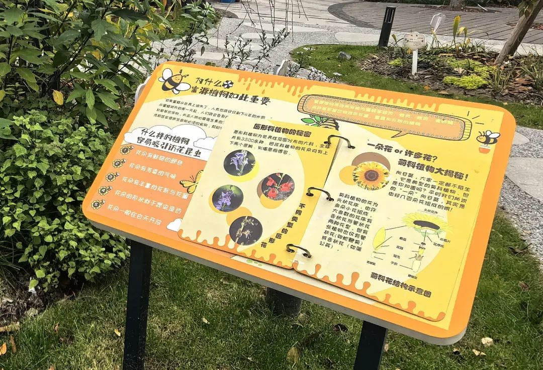 宝藏花园→植物科普园！静安休闲好去处+1！