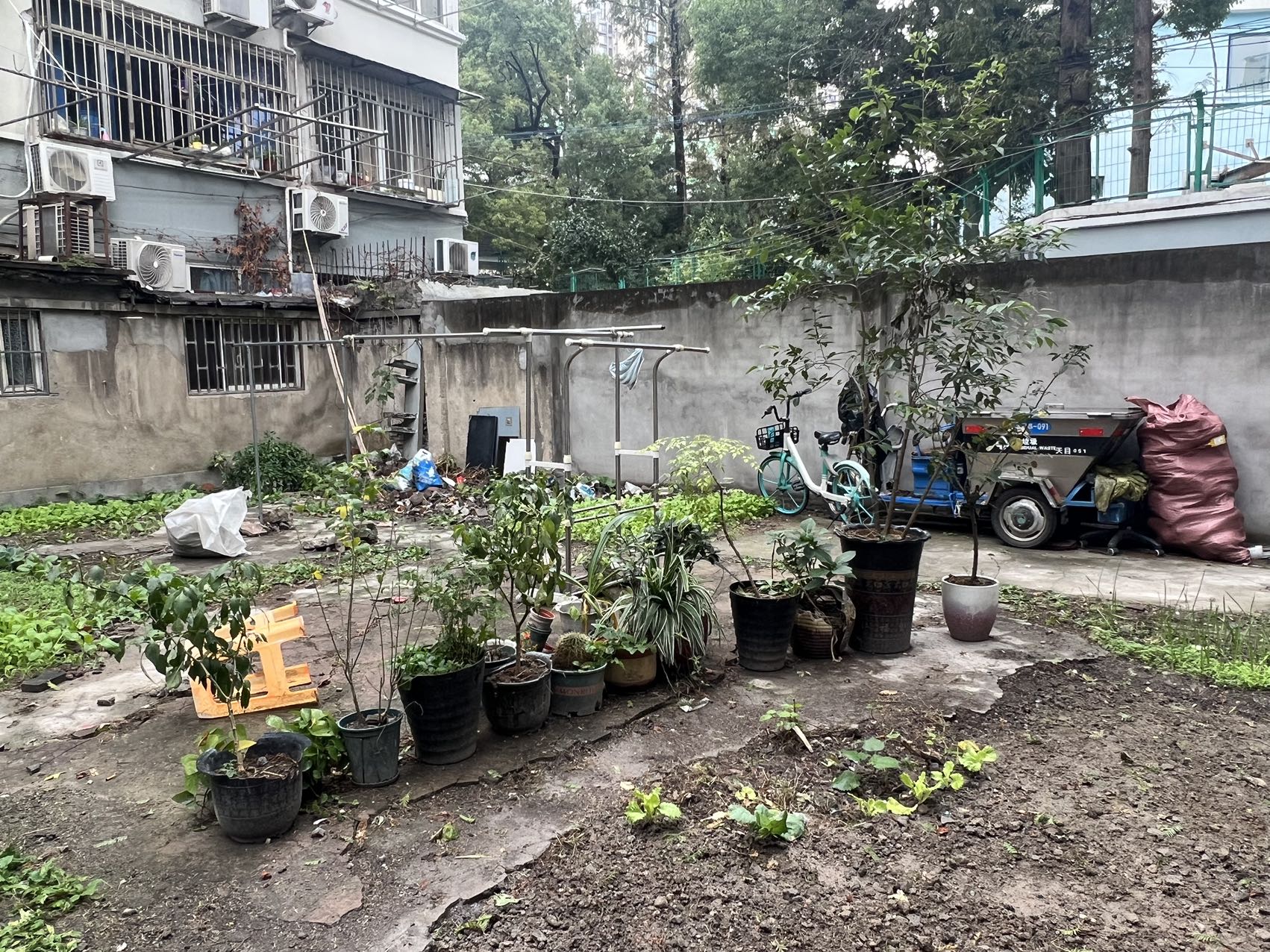 党建引领，闲置“旧地”升级打造“新”天地